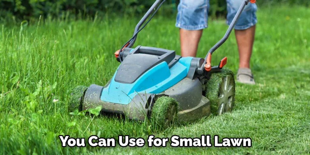 You Can Use for Small Lawn