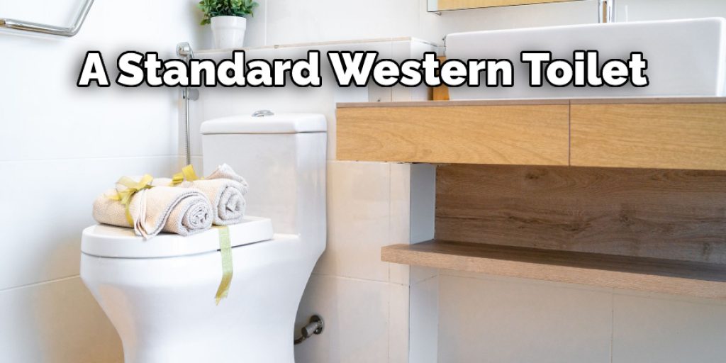 A Standard Western Toilet