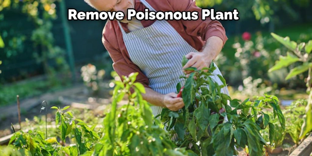 Remove Poisonous Plant