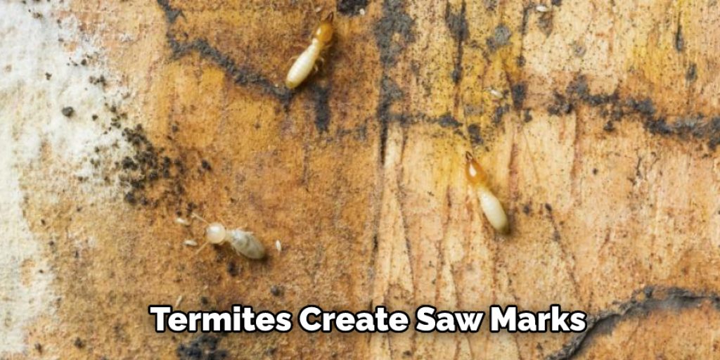 Termites Create Saw Marks