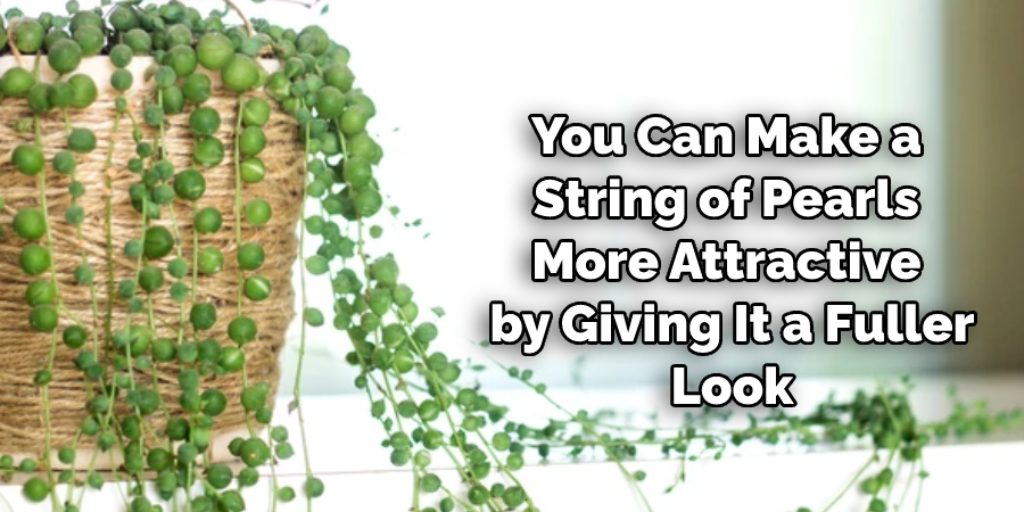 Tips to Make String of Pearls Fuller Attractive