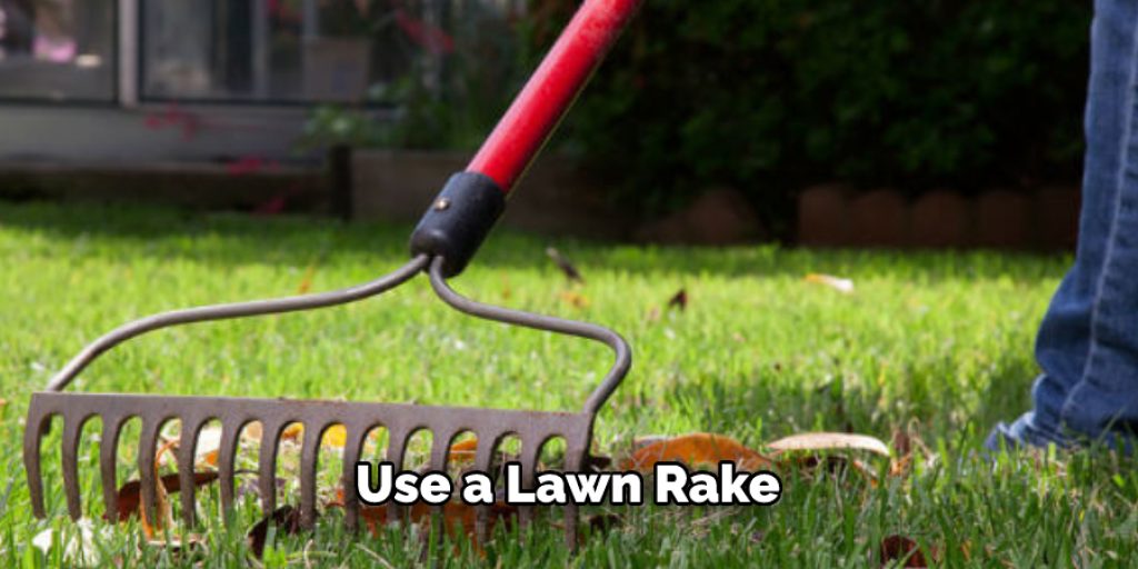 Use a Lawn Rake
