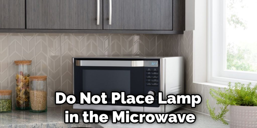 Do Not Place Lamp in the Microwave