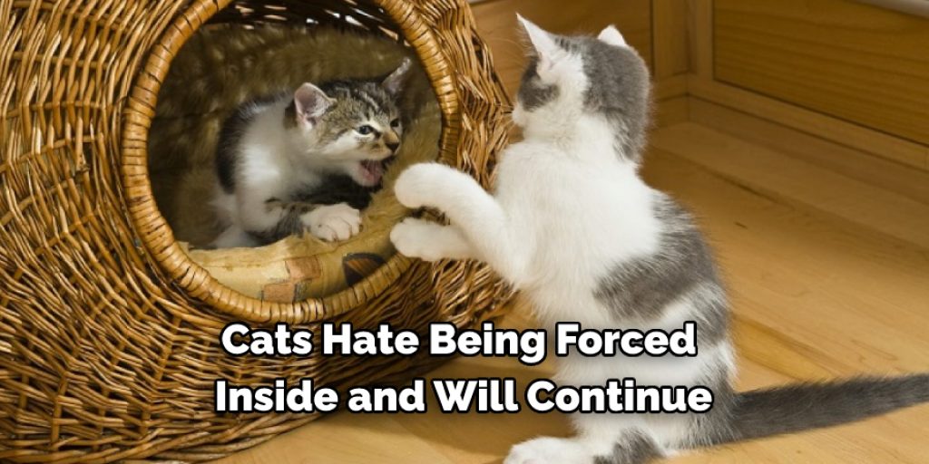 Cats Hate Being Forced  Inside and Will Continue