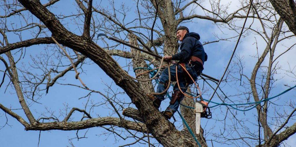 How to Use a Pole Saw With Rope