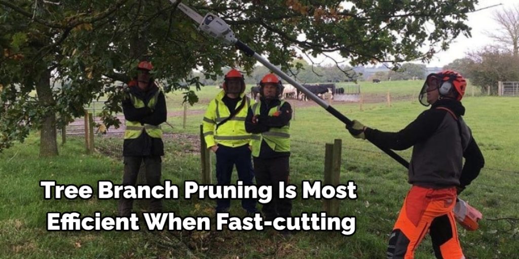 Tree Branch Pruning Is Most  Efficient When Fast-cutting