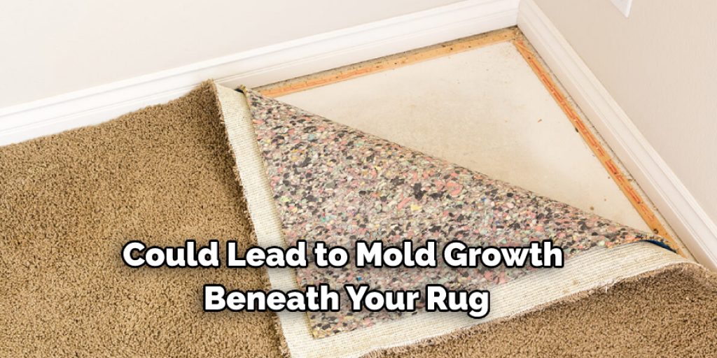 Could Lead to Mold Growth  Beneath Your Rug