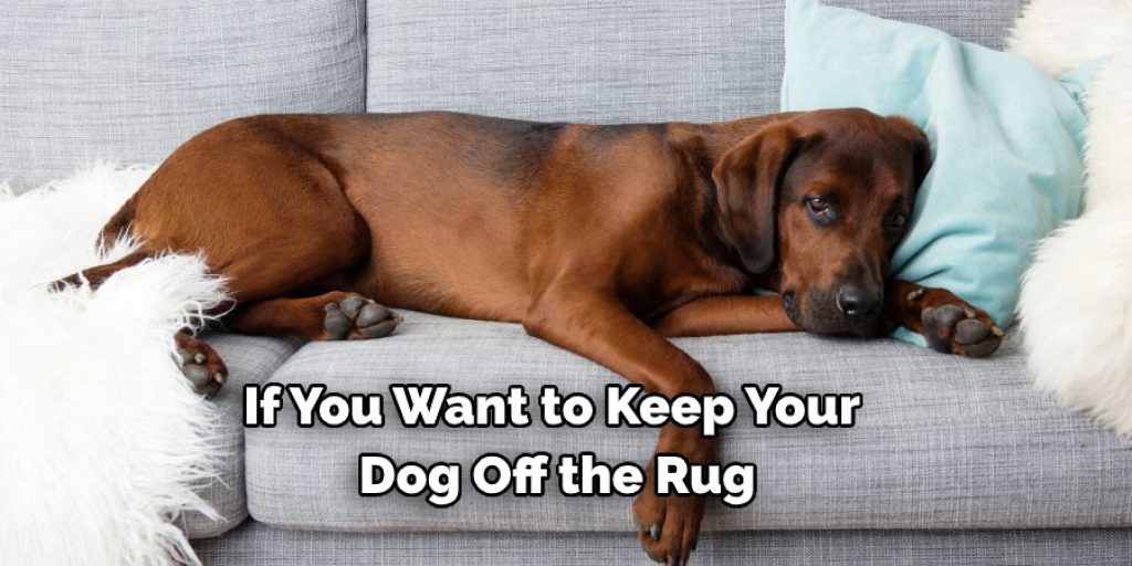 If You Want to Keep Your  Dog Off the Rug