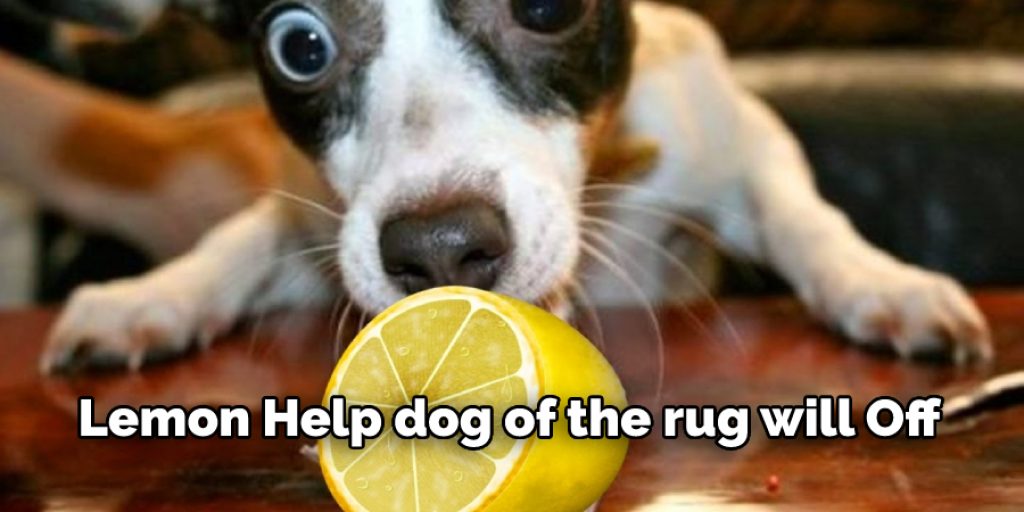 Lemon Help dog of the rug will Of