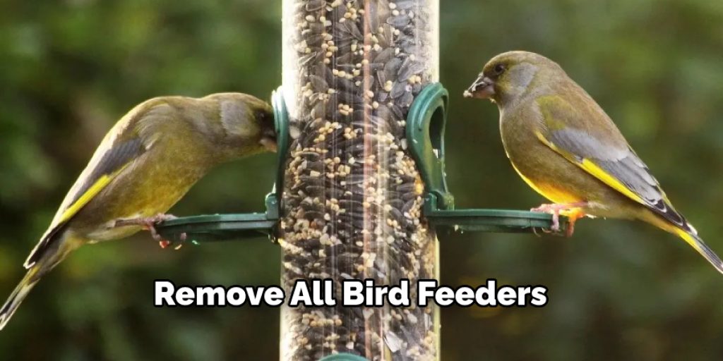 Remove All Bird Feeders