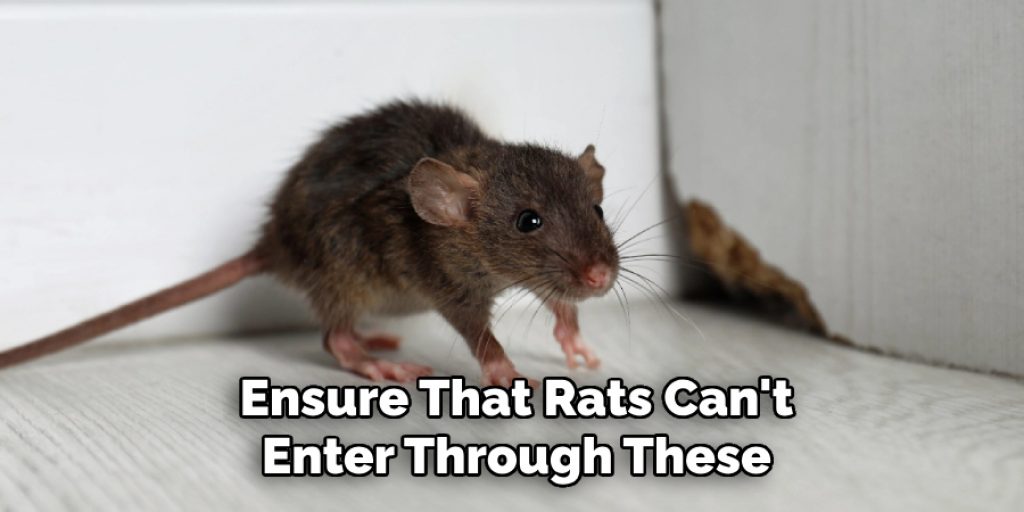 Ensure That Rats Can't Enter Through These