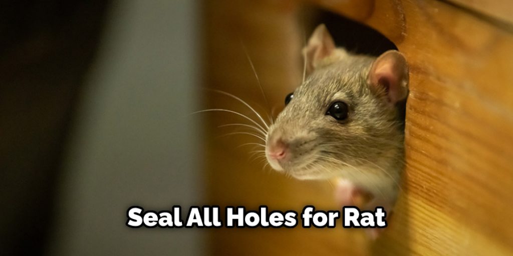 Seal All Holes for Rat