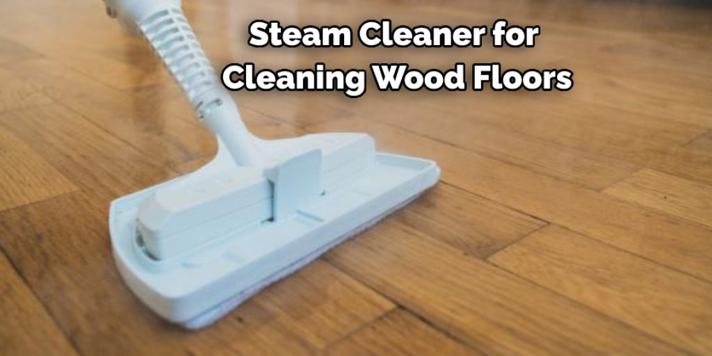 Steam Cleaner for Cleaning Wood Floors