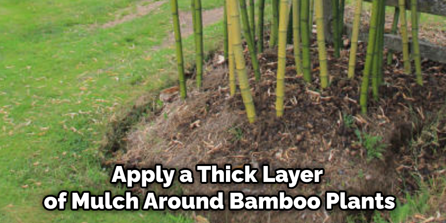 Apply a Thick Layer of Mulch Around Bamboo Plants