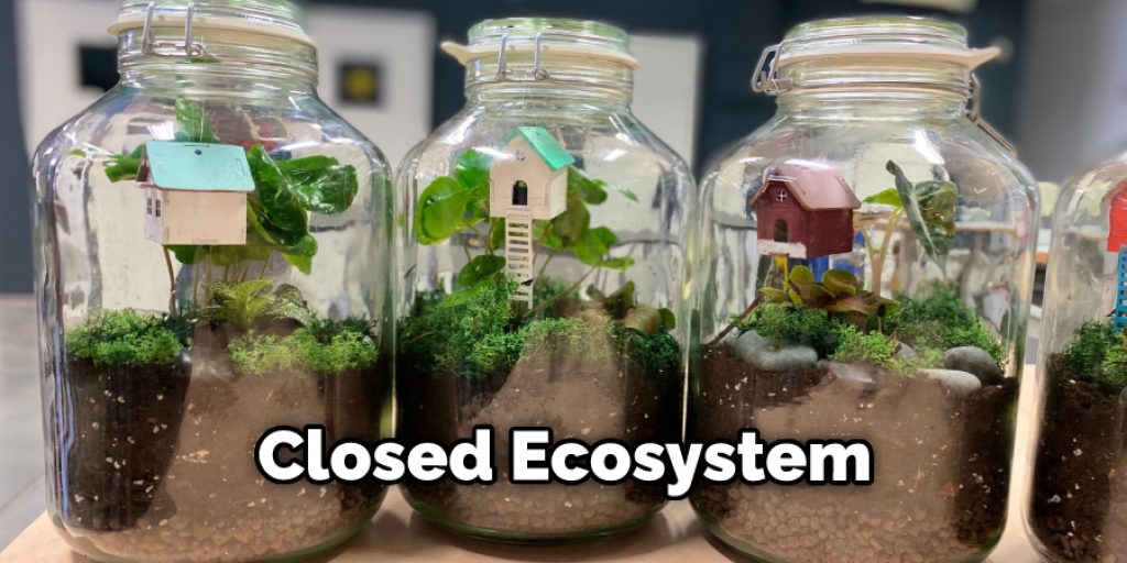 Closed Ecosystem