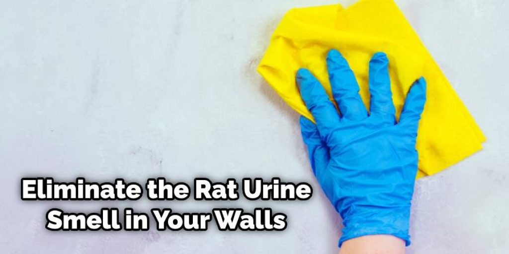 Eliminate the Rat Urine Smell in Your Walls