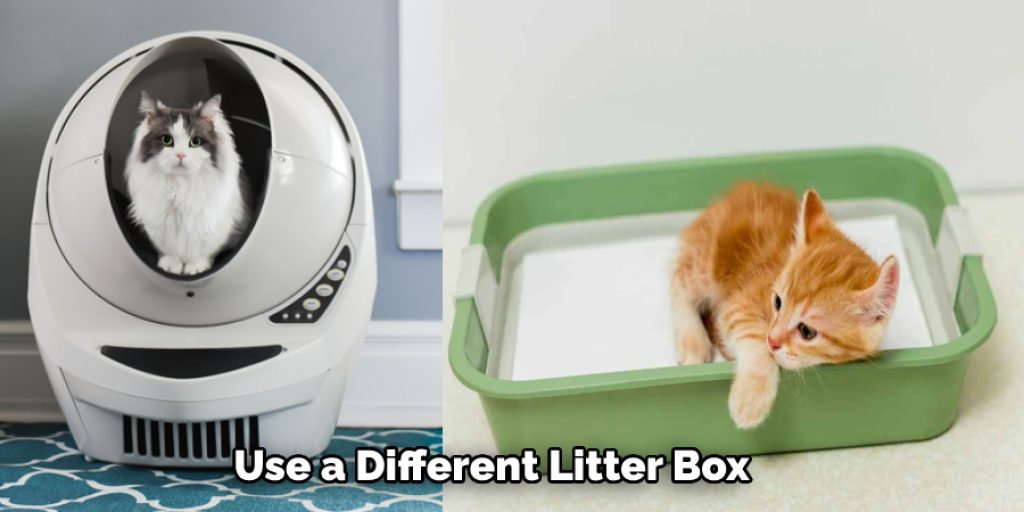 Use a Different Litter Box