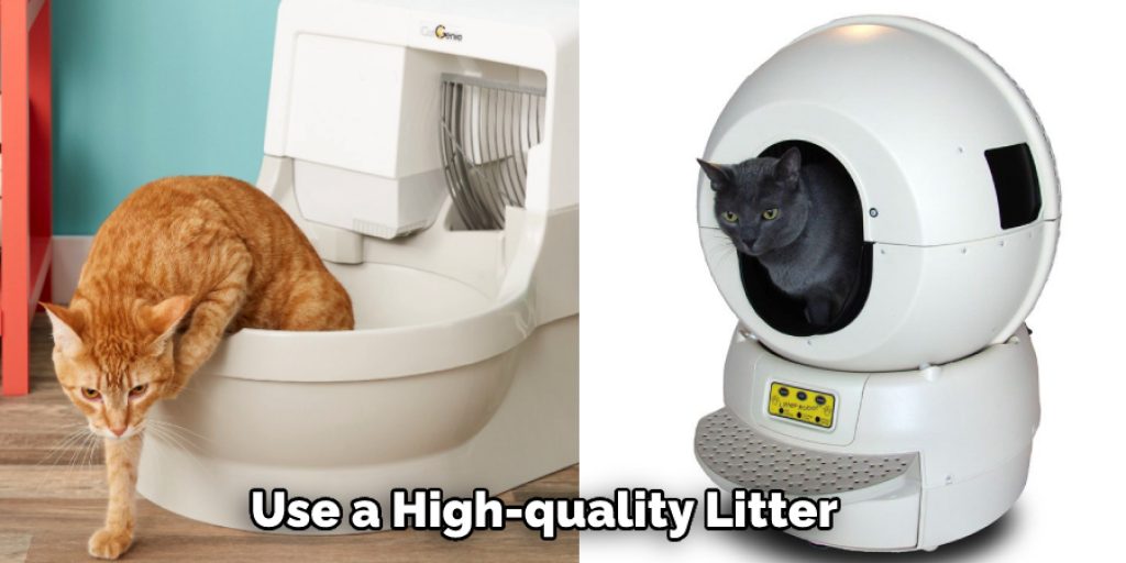 Use a High-quality Litter