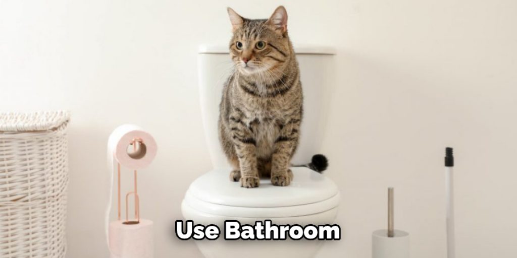 Use Bathroom