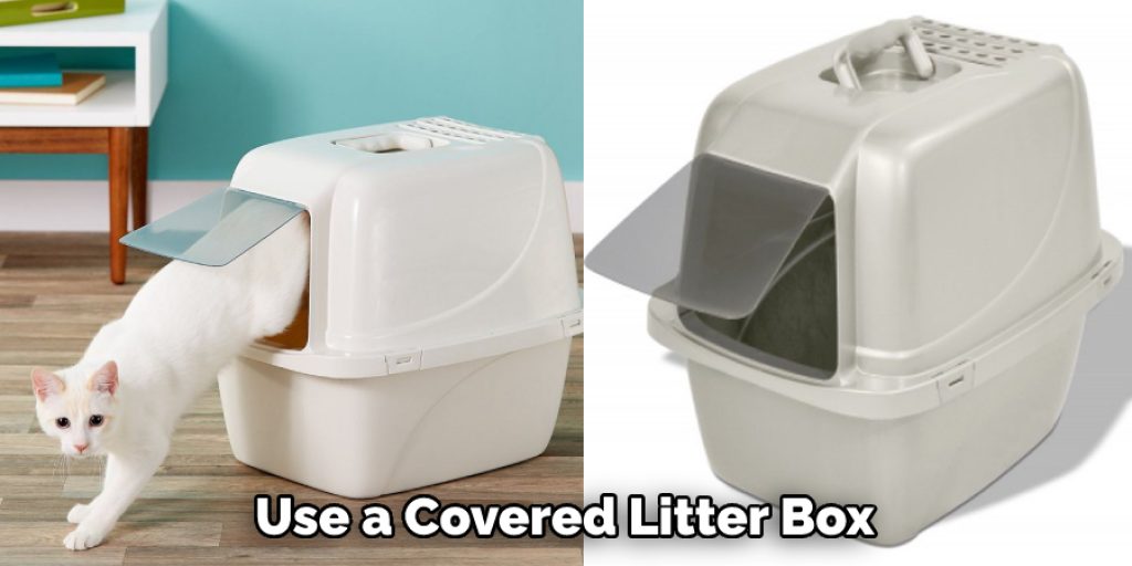 Use a Covered Litter Box