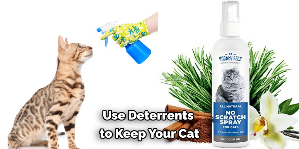 Use Deterrents  to Keep Your Cat