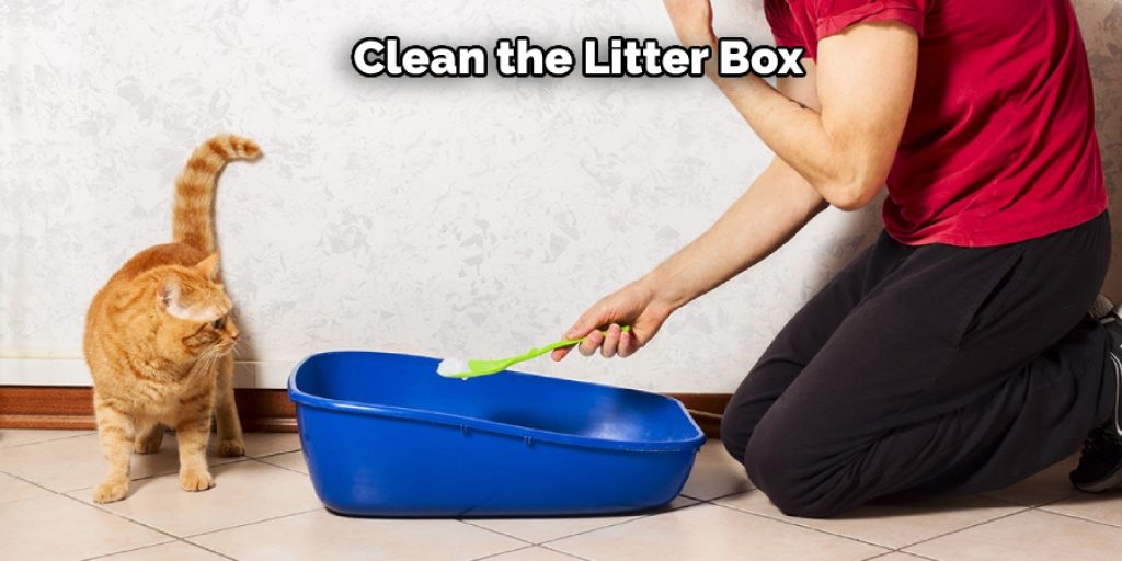 Clean the Litter Box 
