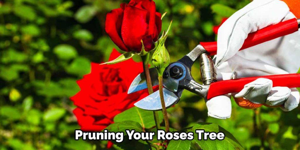 Pruning Your Roses Tree