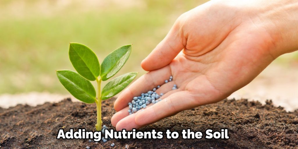  Adding Nutrients to the Soil