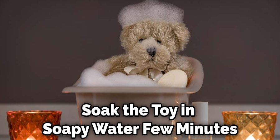 Soak the Toy in Soapy Water Few Minutes