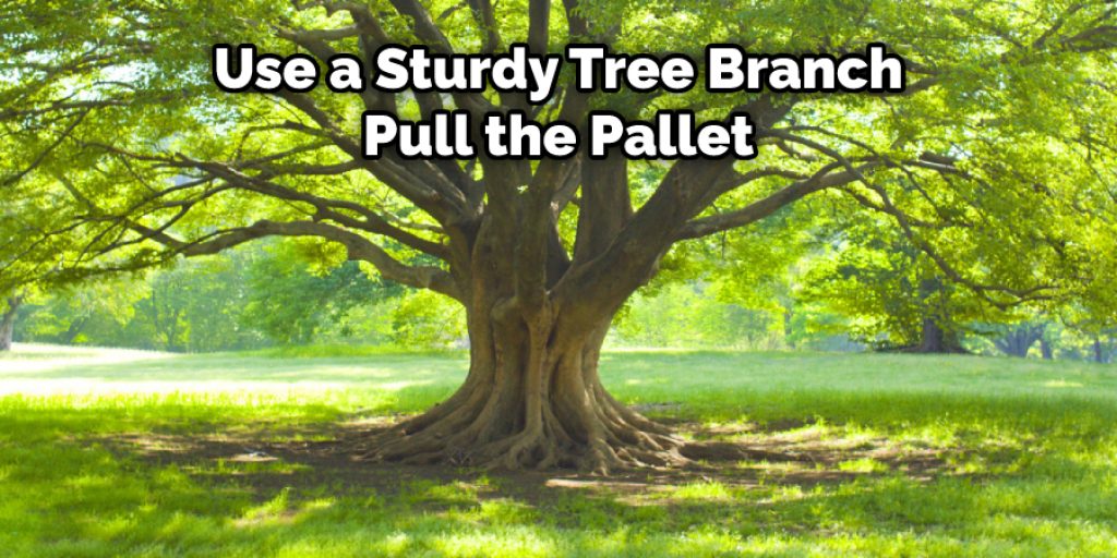Use a Sturdy Tree Branch Pull the Pallet