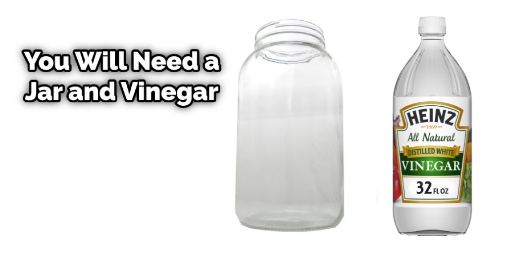 You Will Need a Jar and Vinegar