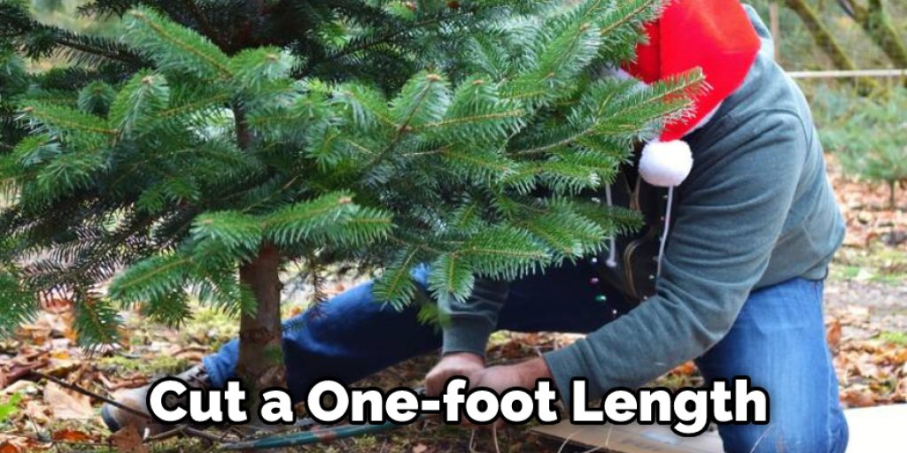 Cut a One-foot Length