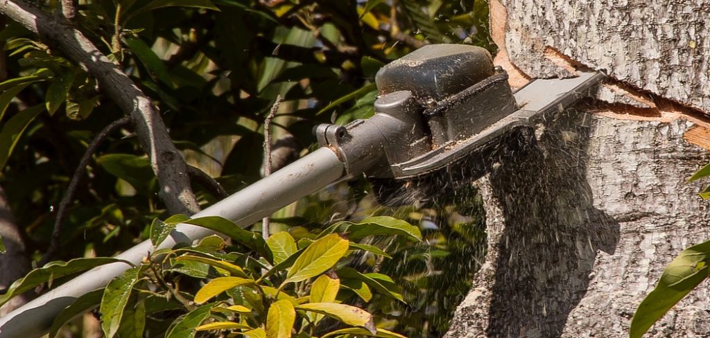 How to Use a Manual Pole Saw With Rope