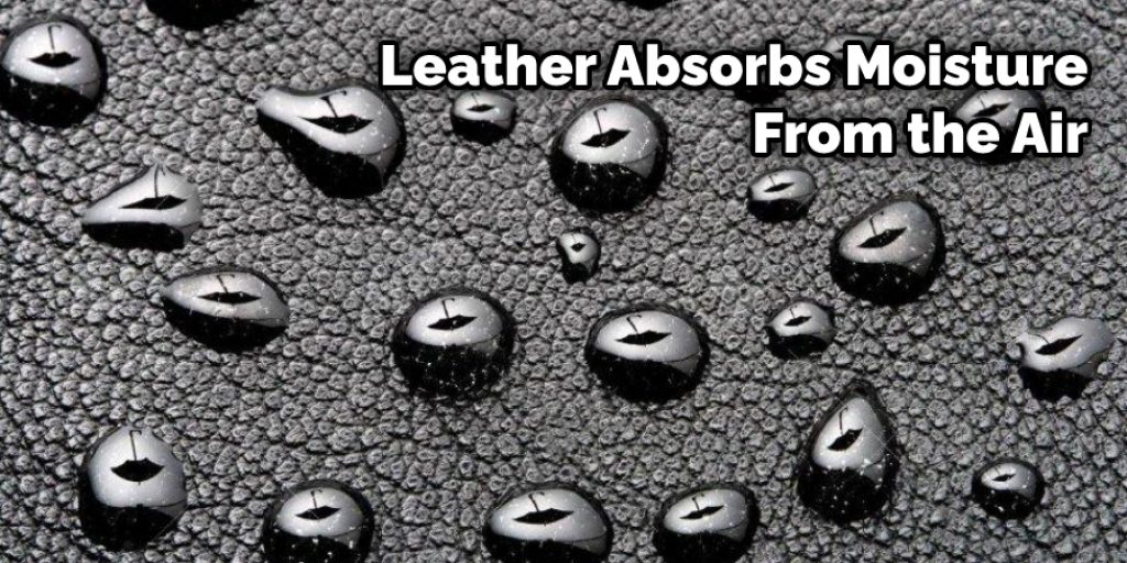 Leather Absorbs Moisture From the Air