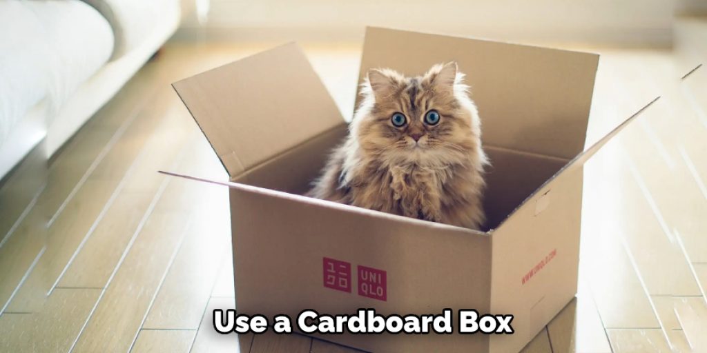 Use a Cardboard Box
