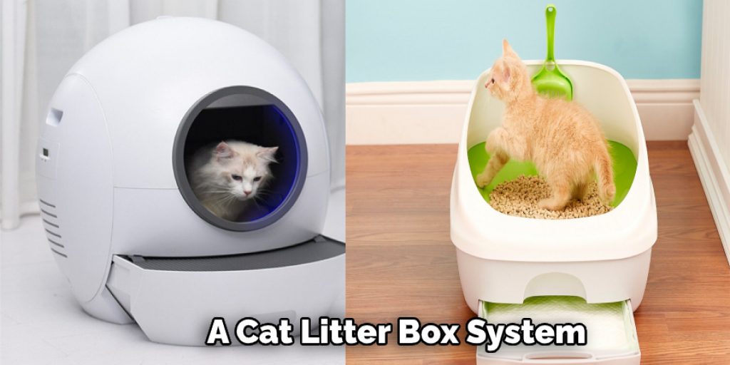 A Cat Litter Box System