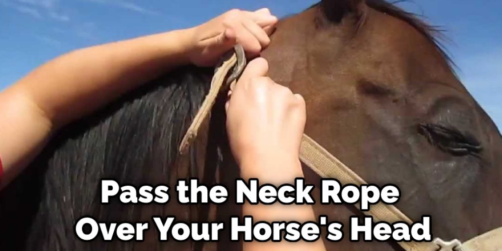 Pass the Neck Rope Over Your Horse's Head