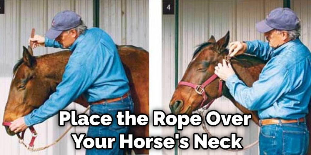 Place the Rope Over Your Horse's Neck