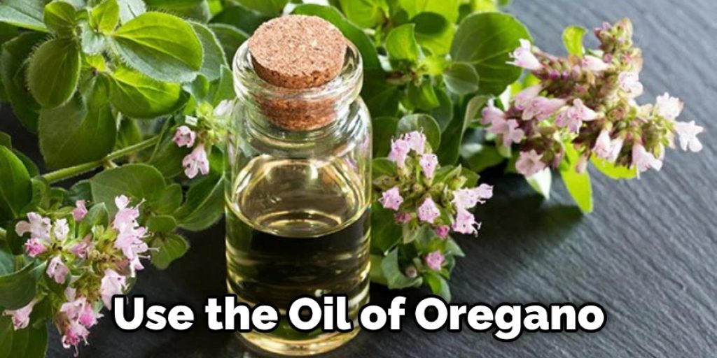 Use the Oil of Oregano