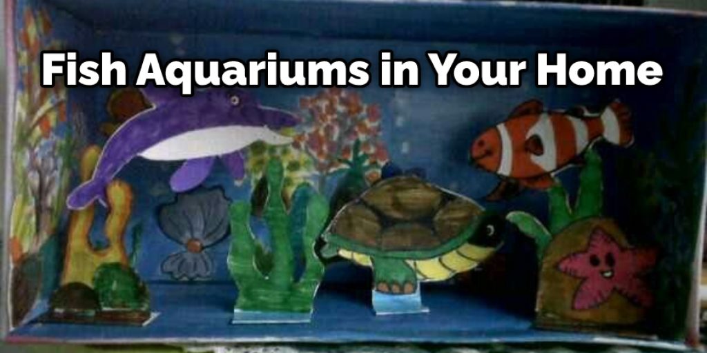 Fish Aquariums in Your Home