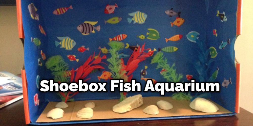 Shoebox Fish Aquarium