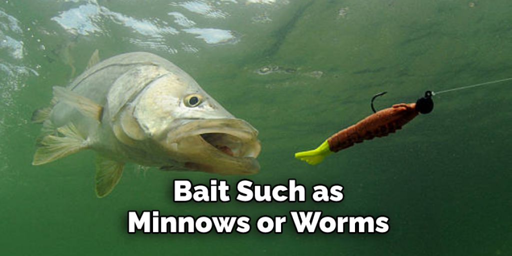  Bait Such as  Minnows or Worms