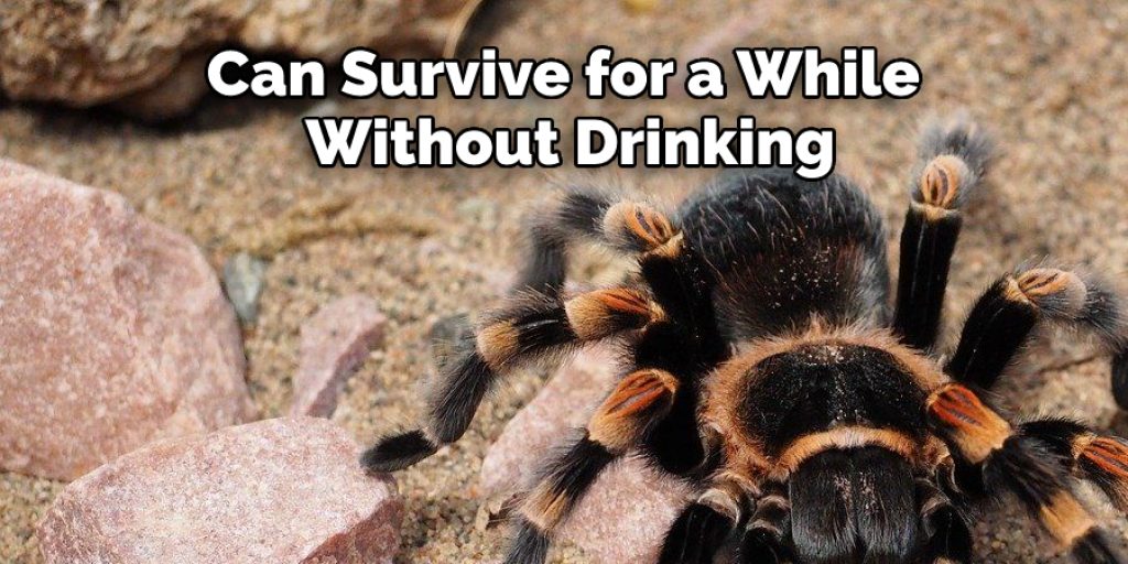 Can Survive for a While Without Drinking