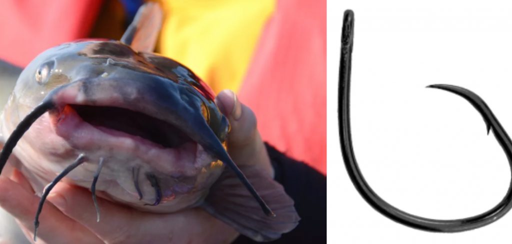 How to Bait a Circle Hook for Catfish