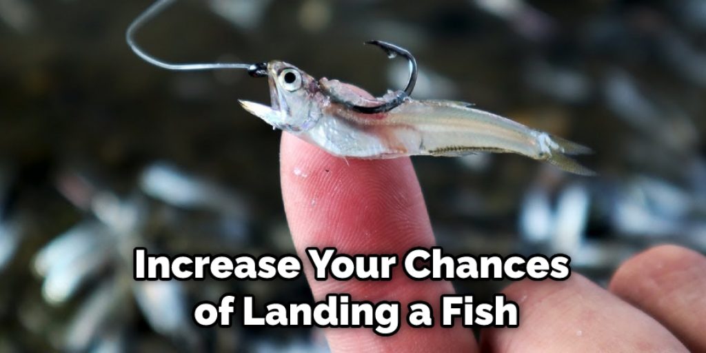 Increase Your Chances of Landing a Fish