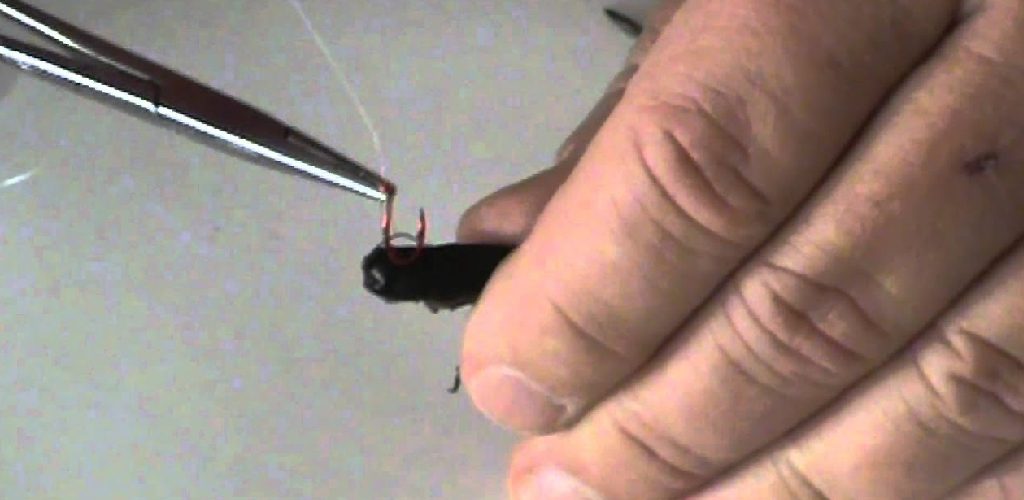 How to Hook a Cricket