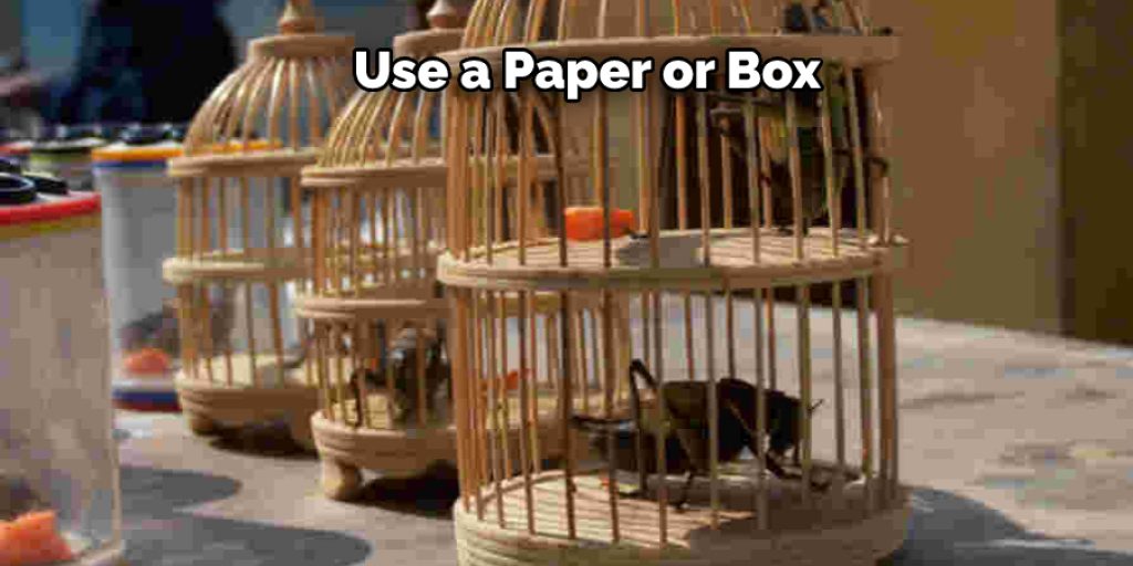Use a Paper or Box 