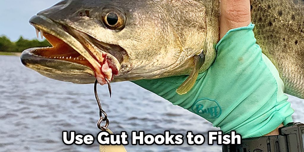  Use Gut Hooks to Fish