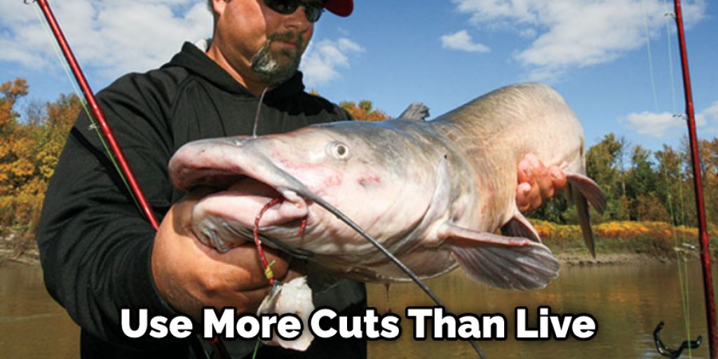 Use More Cuts Than Live 