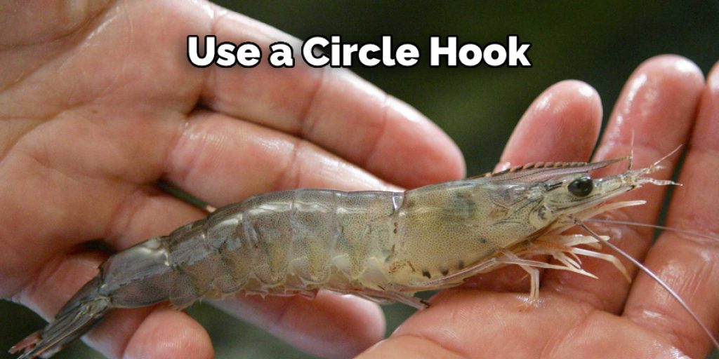 Use a Circle Hook